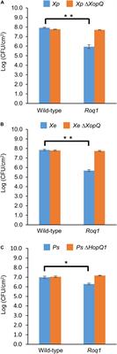 The Immune Receptor Roq1 Confers Resistance to the Bacterial Pathogens Xanthomonas, Pseudomonas syringae, and Ralstonia in Tomato